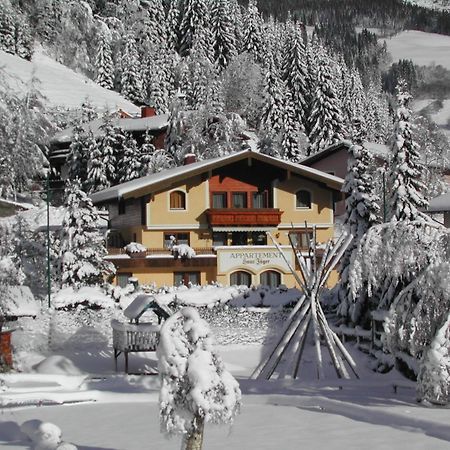 Appartements Landhaus Jaeger Filzmoos Exterior photo